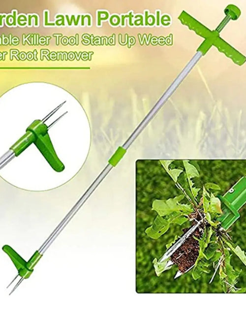 Load image into Gallery viewer, Long Handle Weed Remover
