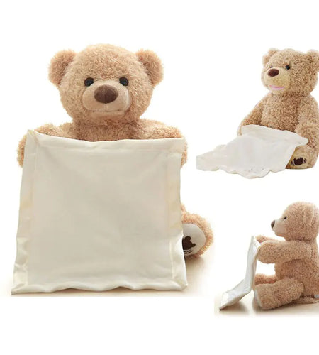 Bear Hide and Seek Toy