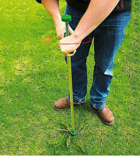 Long Handle Weed Remover