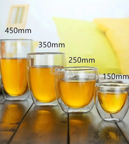Heat Resistant Double Wall Glass Cup