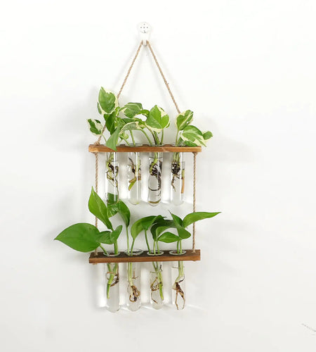 Wall Hanging Test Tube Propagation Station