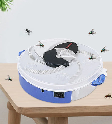 Baby Safe Electric Flycatcher