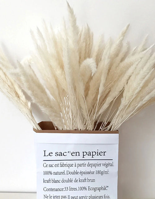 Load image into Gallery viewer, 15 Natural Dried Pampas Grass Phragmites for DIY Home and Wedding Decor
