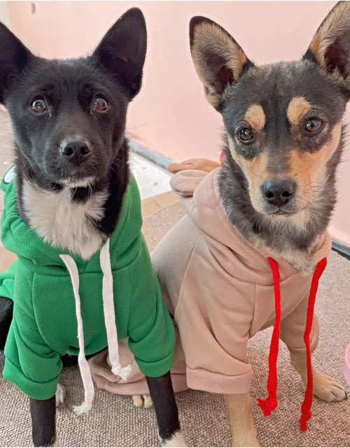 Load image into Gallery viewer, Pet Clothes Dogs Hoodie Sweatshirt - Fruit Shape Cold Weather Clothes Costume Outfit for Puppy Cats Small Mediumdog
