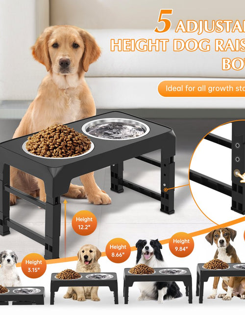 Load image into Gallery viewer, Elevated Dog Bowls with 2 Thick 1.22L Stainless Steel Dog Food Bowls, Raised Dog Bowl Adjusts to 5 Heights (3.2&quot;, 8.7&quot;, 9.8&quot;, 11&quot;, 12.2&quot;) for Pets Small Medium Large Dogs, Puppy and Cats
